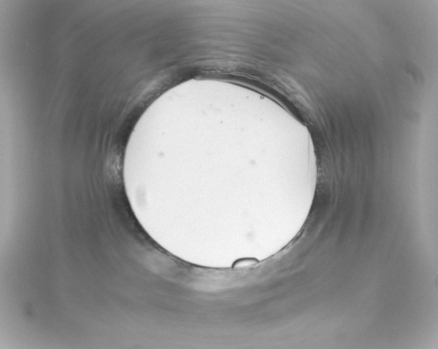 X0000115260045200911271934