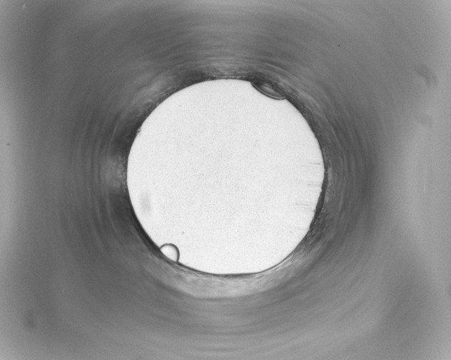 X0000115260048200911271934