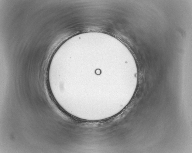 X0000115260049200911271934