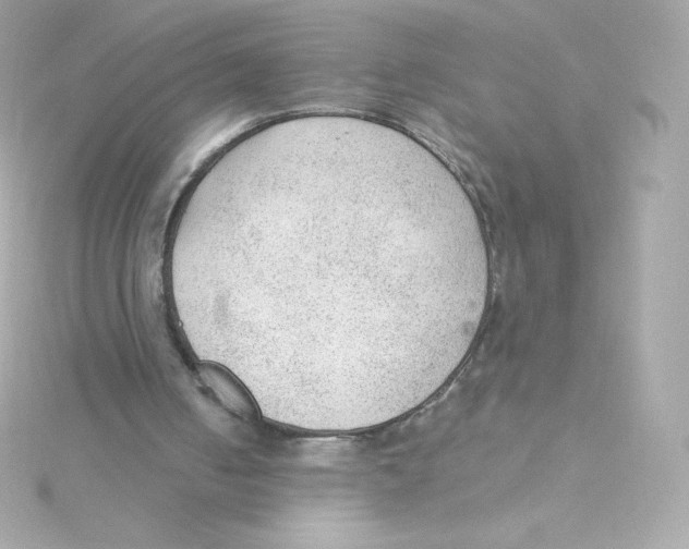 X0000115260050200911271934