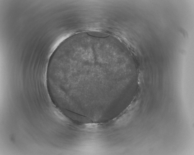 X0000115260052200911271934