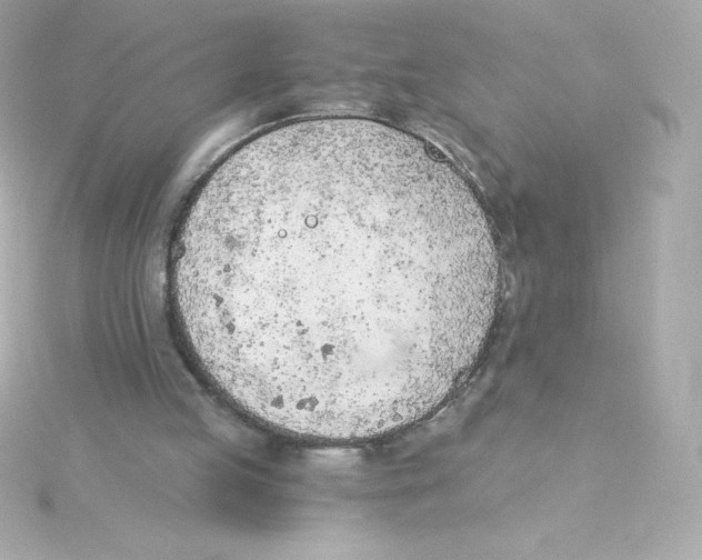 X0000115260053200911271934