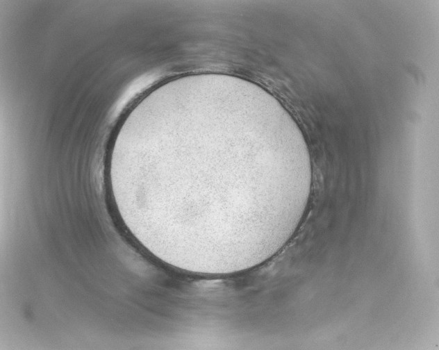 X0000115260054200911271934