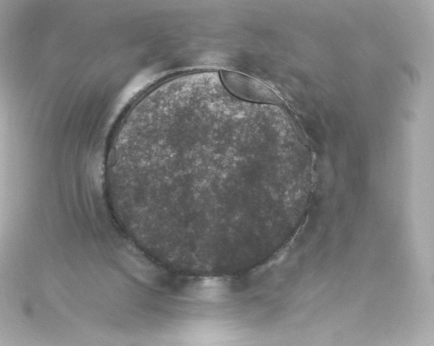 X0000115260056200911271934