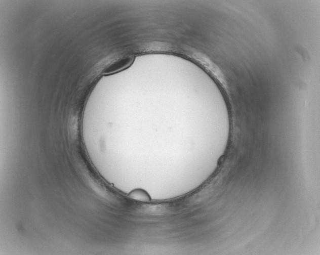 X0000115260057200911271934