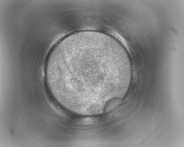 X0000115260059200911271934