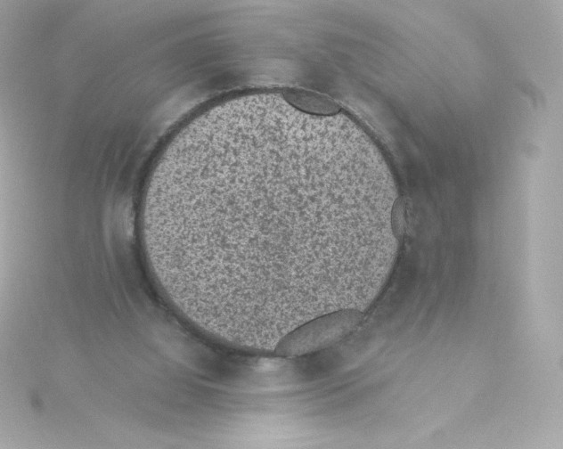 X0000115260060200911271934