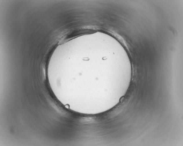 X0000115260061200911271934