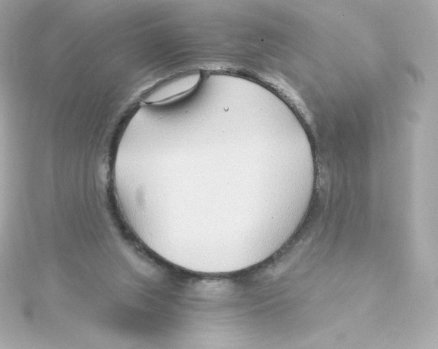 X0000115260063200911271934