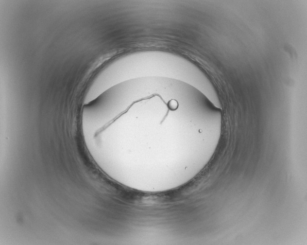 X0000115260064200911271934