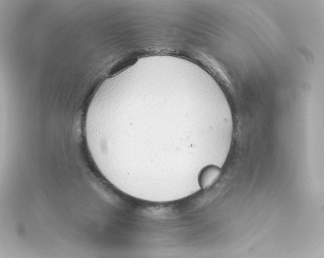 X0000115260065200911271934