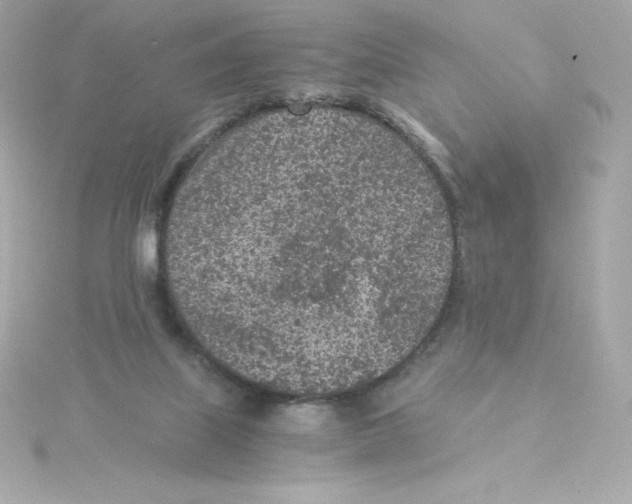 X0000115260067200911271934