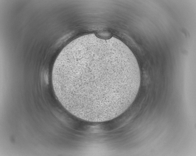 X0000115260068200911271934