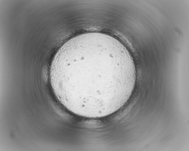 X0000115260069200911271934