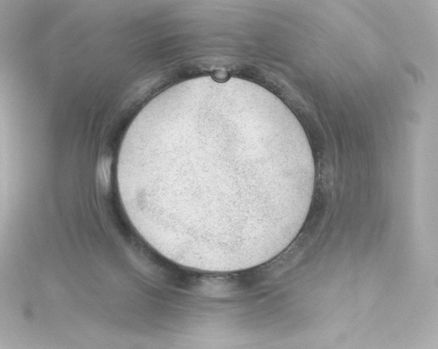 X0000115260070200911271934