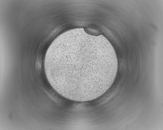 X0000115260072200911271934