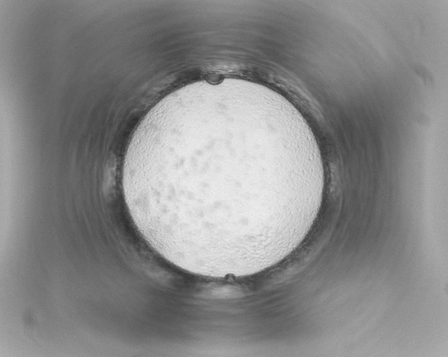 X0000115260073200911271934