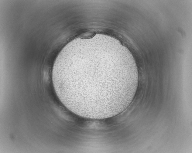 X0000115260074200911271934