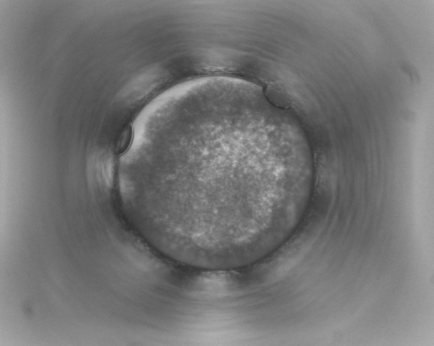 X0000115260076200911271934