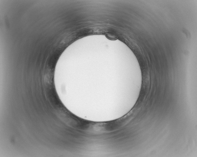 X0000115260078200911271934