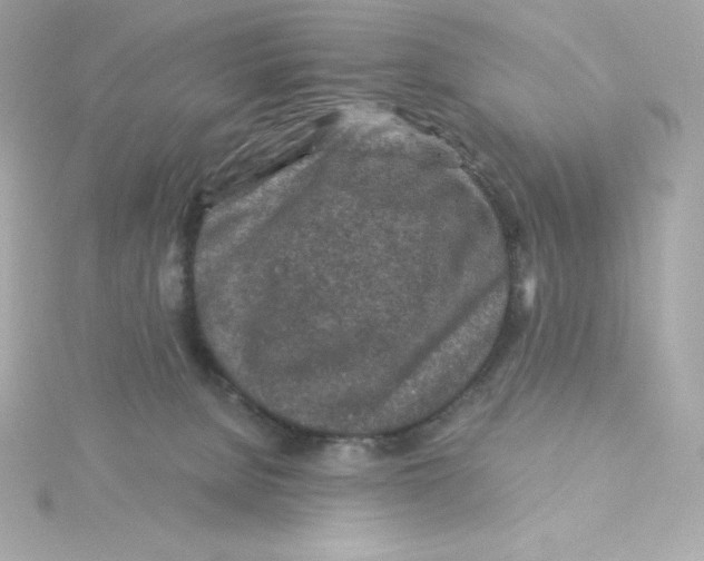 X0000115260080200911271934