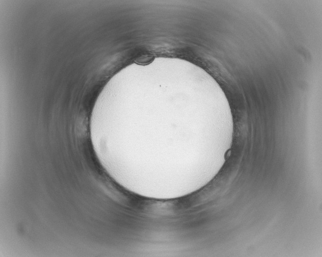 X0000115260081200911271934