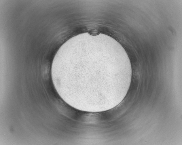 X0000115260082200911271934