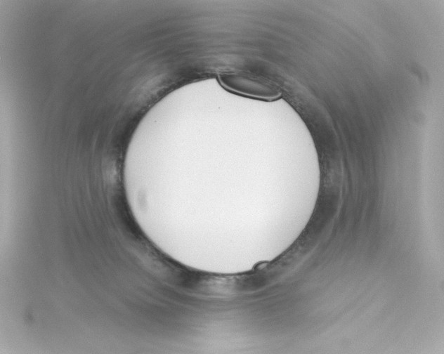 X0000115260084200911271934