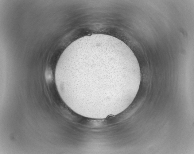 X0000115260089200911271934