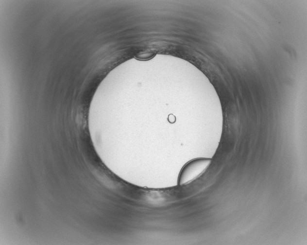 X0000115260091200911271934