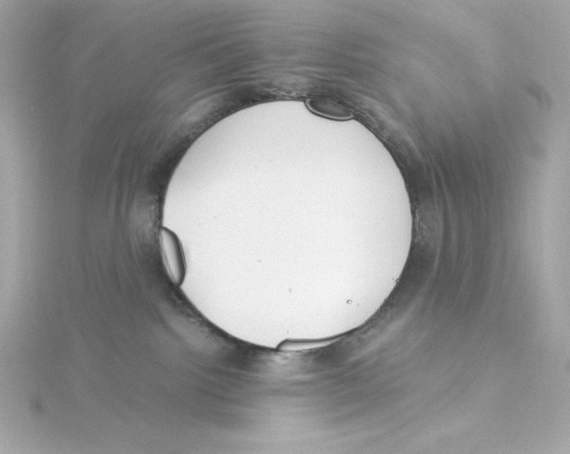 X0000115260092200911271934