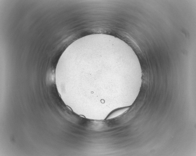 X0000115260095200911271934