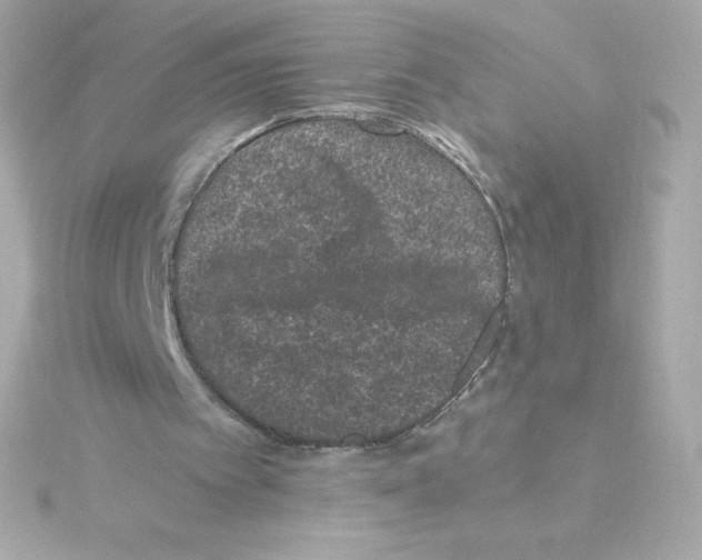 X0000115260097200911271934