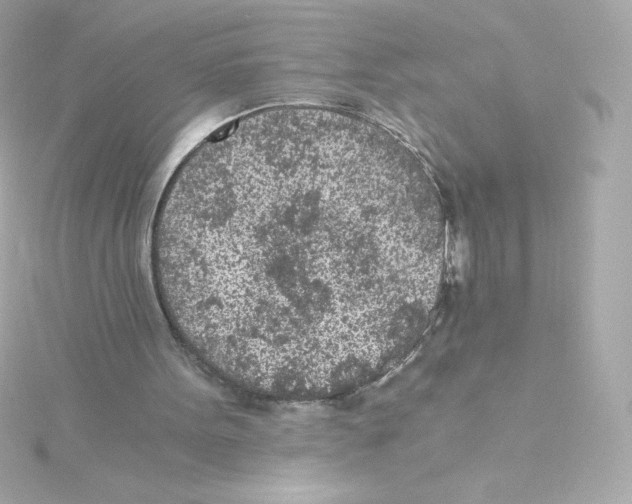 X0000115260099200911271934