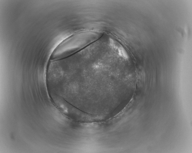 X0000115260100200911271934