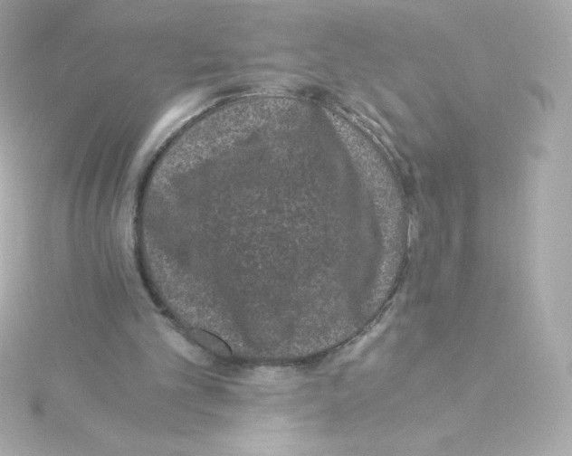 X0000115260101200911271934