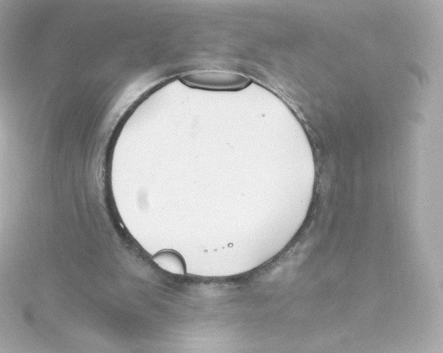 X0000115260103200911271934