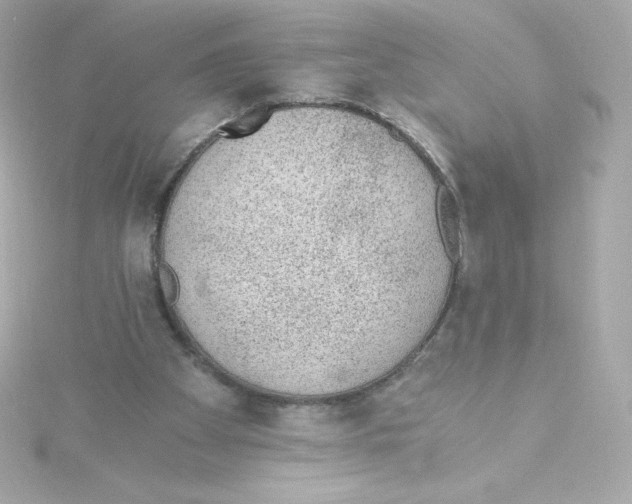 X0000115260105200911271933