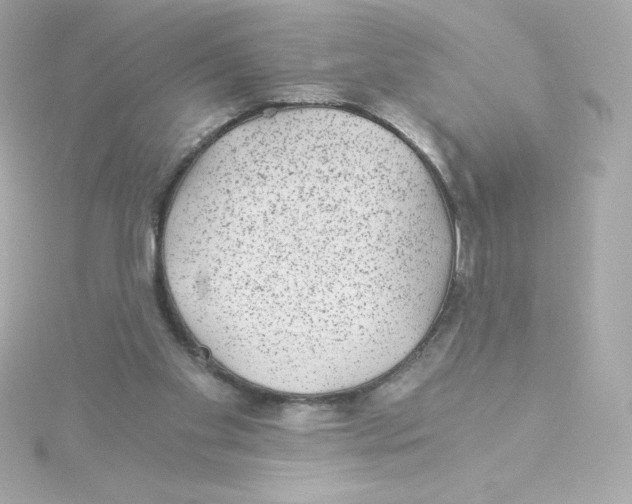 X0000115260109200911271933