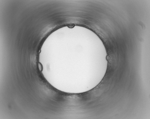 X0000115260112200911271933