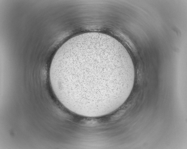 X0000115260113200911271933