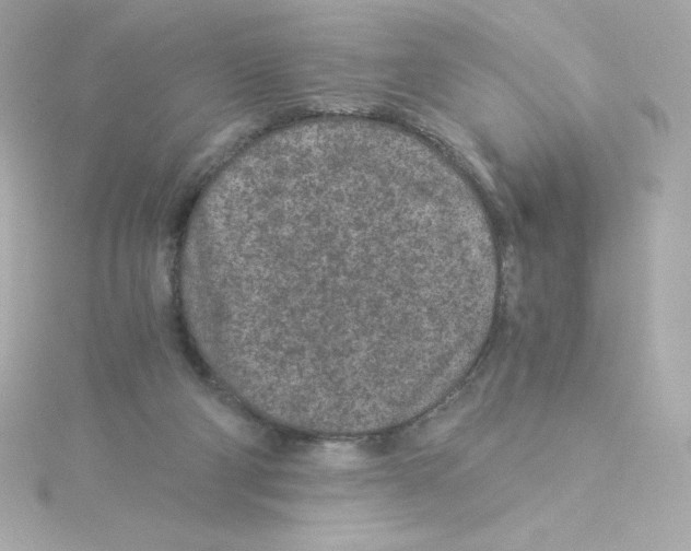 X0000115260114200911271933