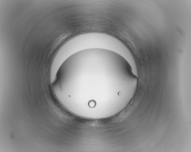 X0000115260116200911271933