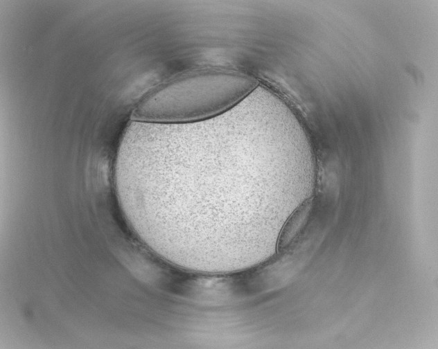 X0000115260117200911271933