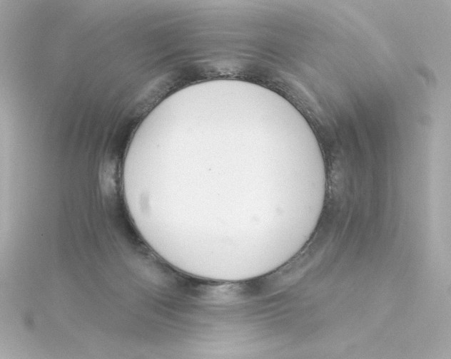 X0000115260122200911271933