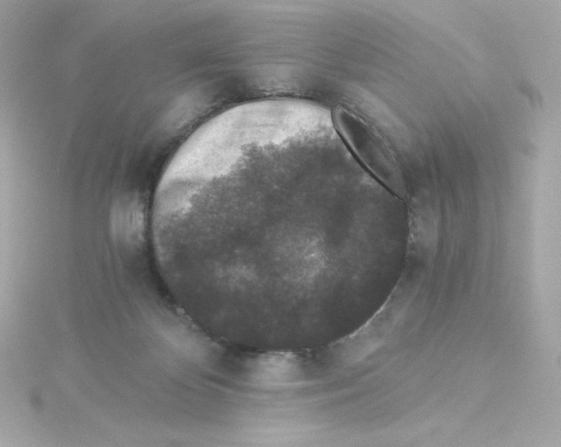 X0000115260124200911271933