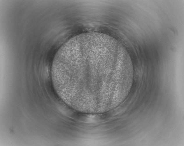 X0000115260130200911271933