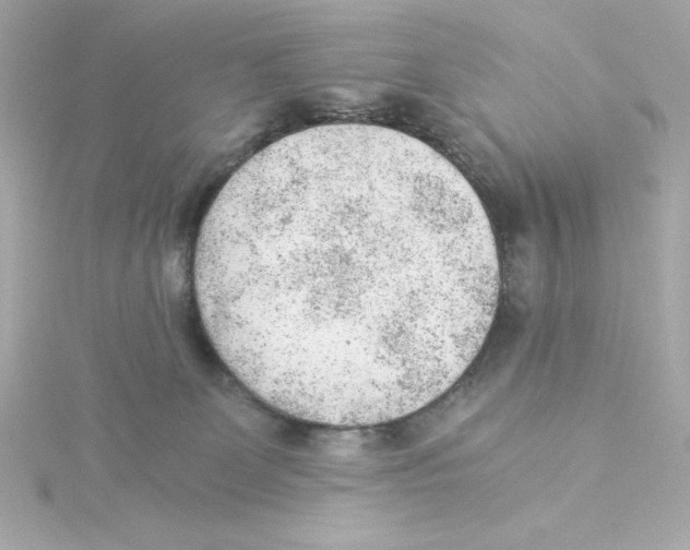 X0000115260131200911271933