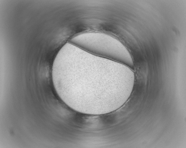 X0000115260132200911271933