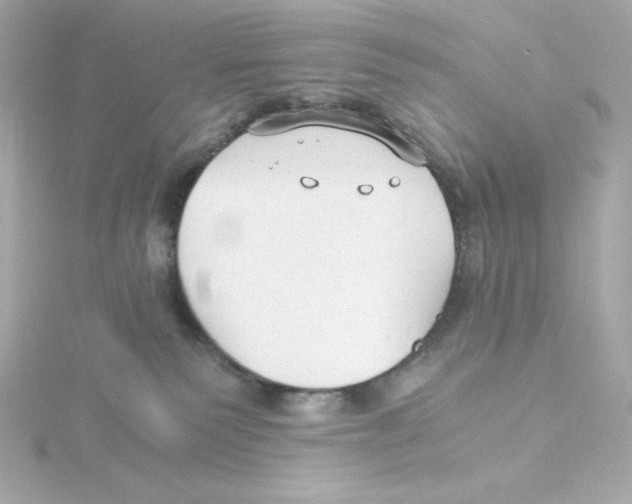 X0000115260135200911271933